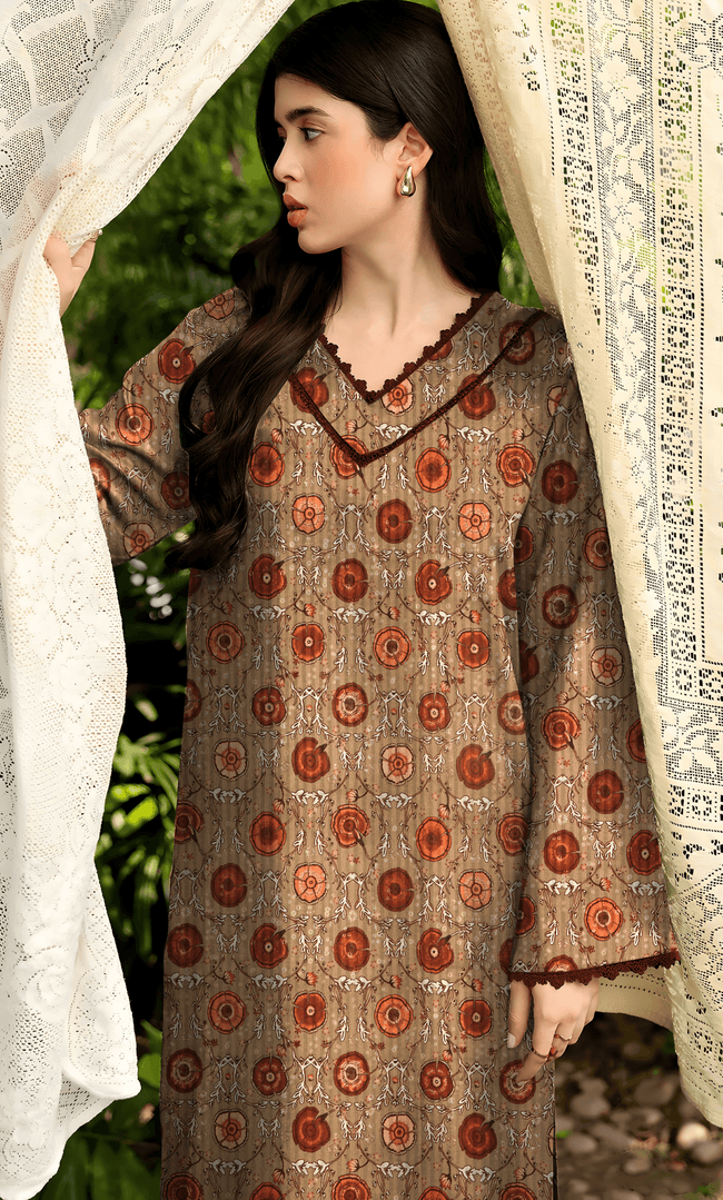 2PC Premium Linen Unstitched-DE V6 -25 Main Image