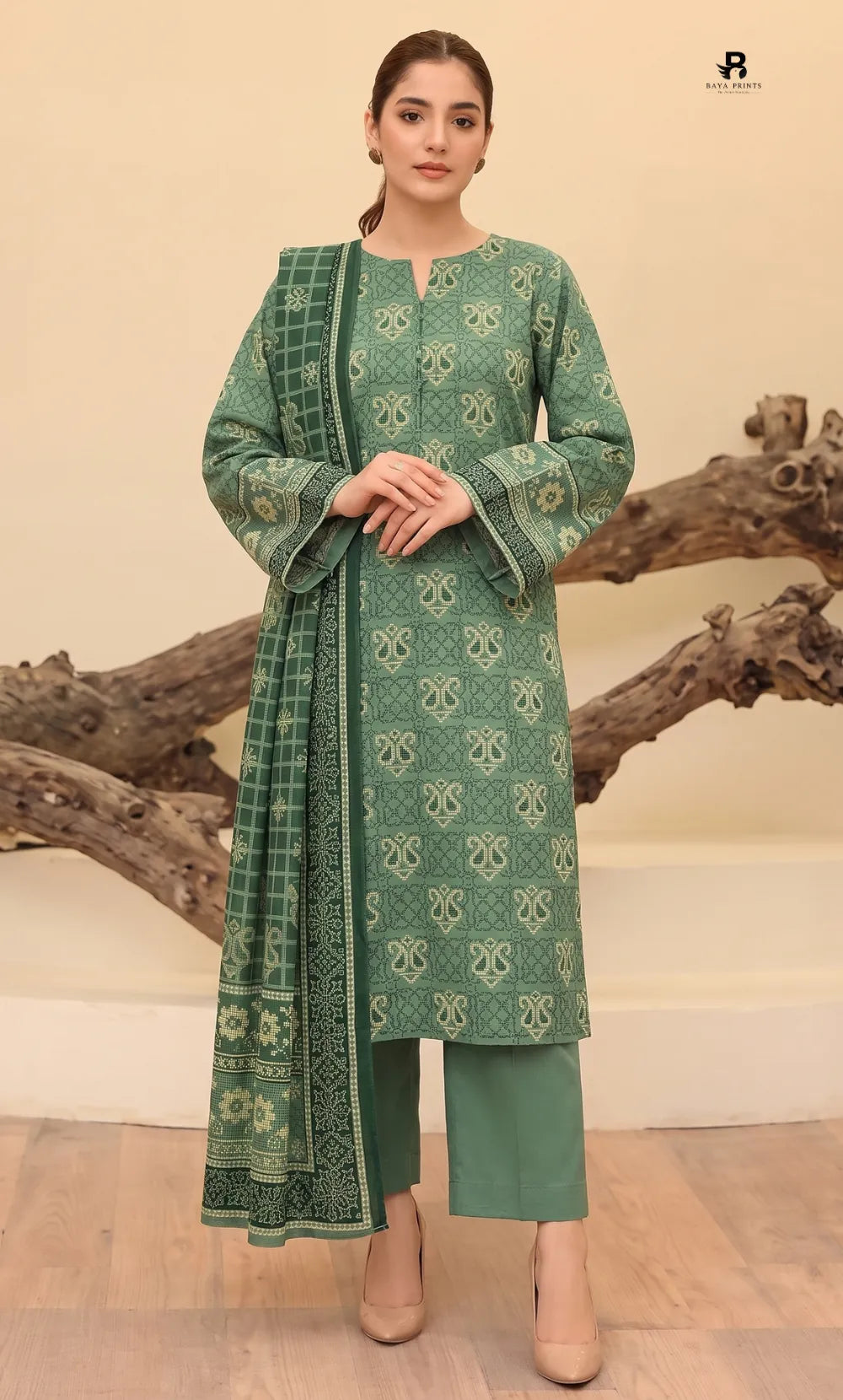3PC Printed Karandi | Unstitched | BA-V3