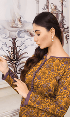 2PC Premium Linen Unstitched-DE V6 -013