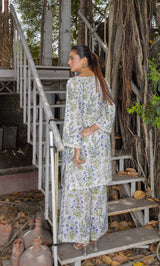 2PC Unstitched Printed Lawn Suit  - BD-V4-04