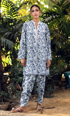 2PC Unstitched Printed Lawn Suit  - BD-V4-12