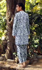 2PC Unstitched Printed Lawn Suit  - BD-V4-12