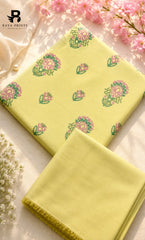 Nayab | Premium 2PC Embroidered Lawn | Unstitched